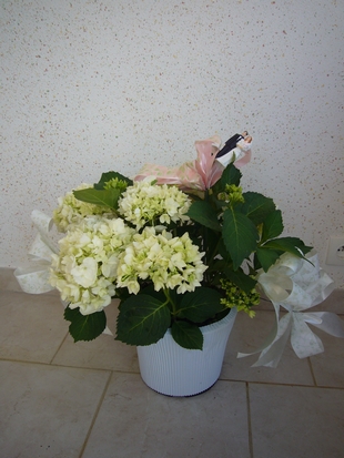 Fleurs
